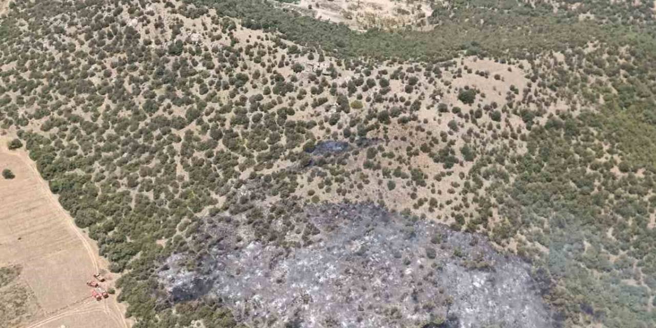 Milas’ta Zirai Alanda Çıkan Yangın Kontrol Altına Alındı