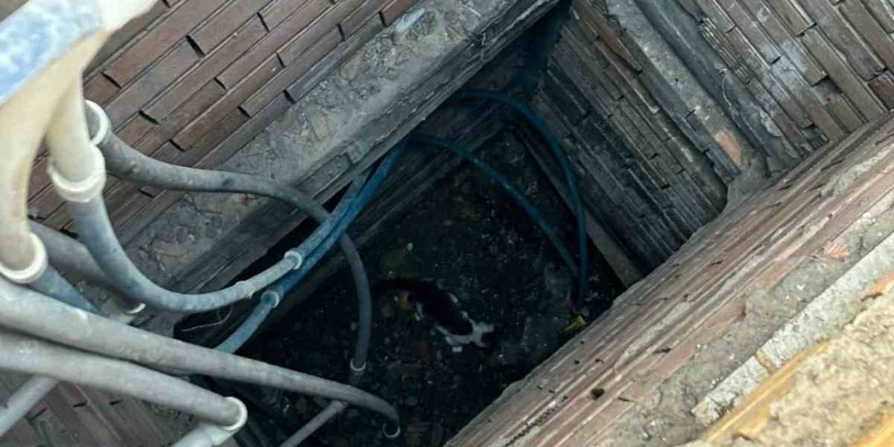 İskenderun’da Binanın Havalandırma Boşluğuna Düşen Yavru Kedi Kurtarıldı