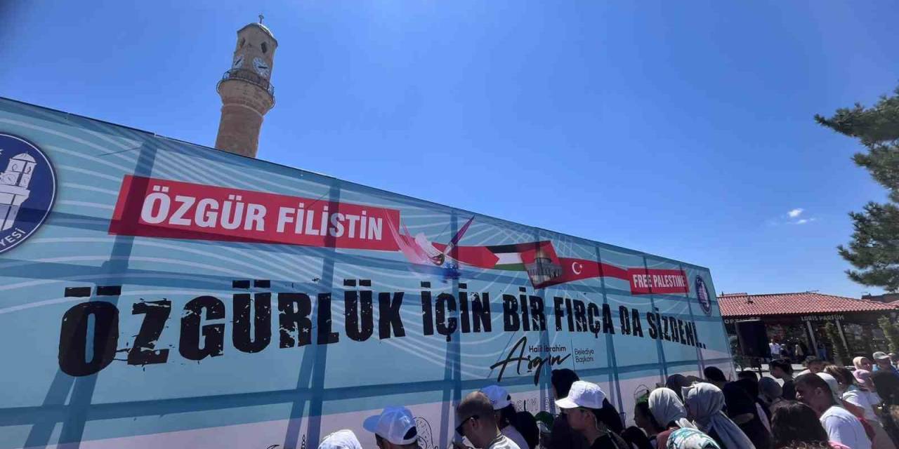 Bu Fırça Darbeleri Özgür Filistin İçin