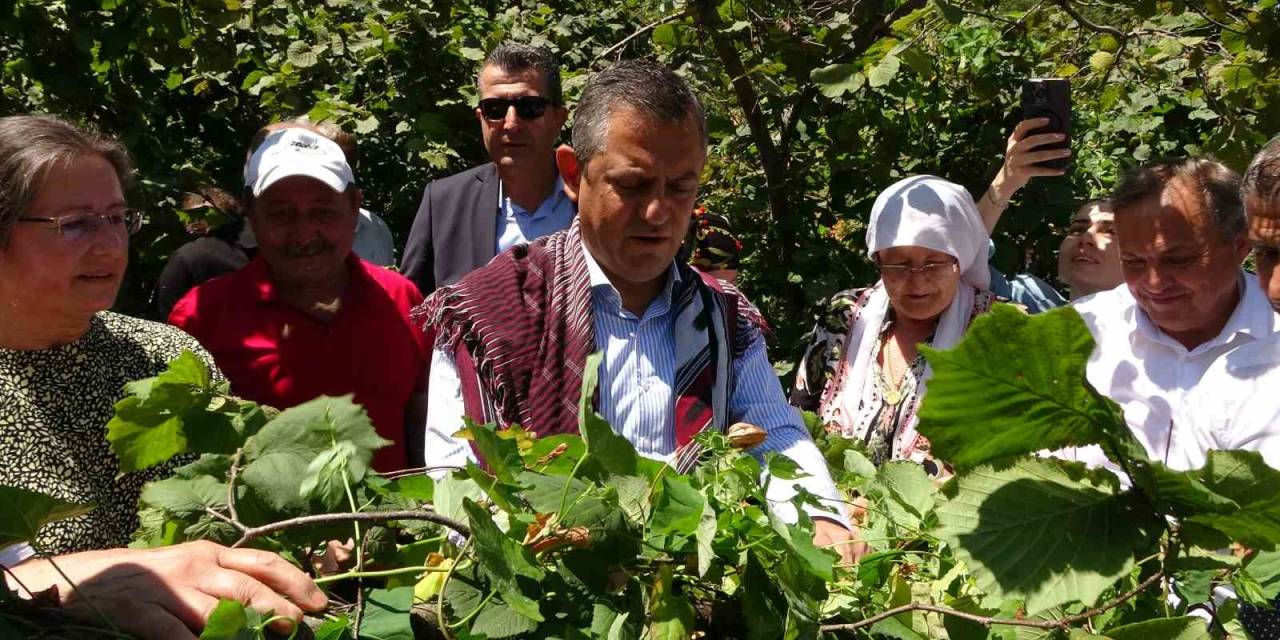 Chp Lideri Özel’den ’fındık Fiyatı’ Eleştirisi: “Hızla Revize Edilmeli"