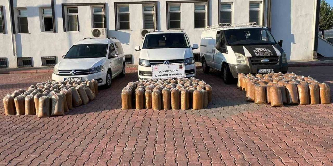 Gaziantep’te 1,5 Ton Kaçak Tütün Ele Geçirildi: 3 Gözaltı