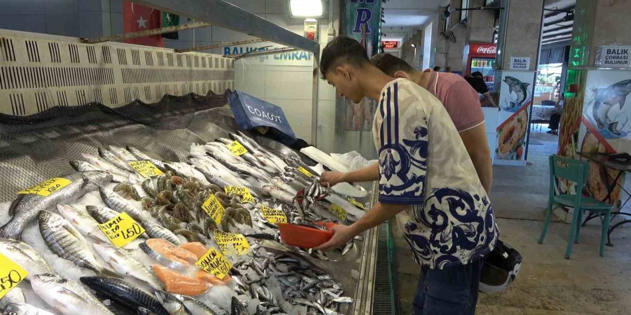 En Çok Tüketilen Balık Sardalya Oldu