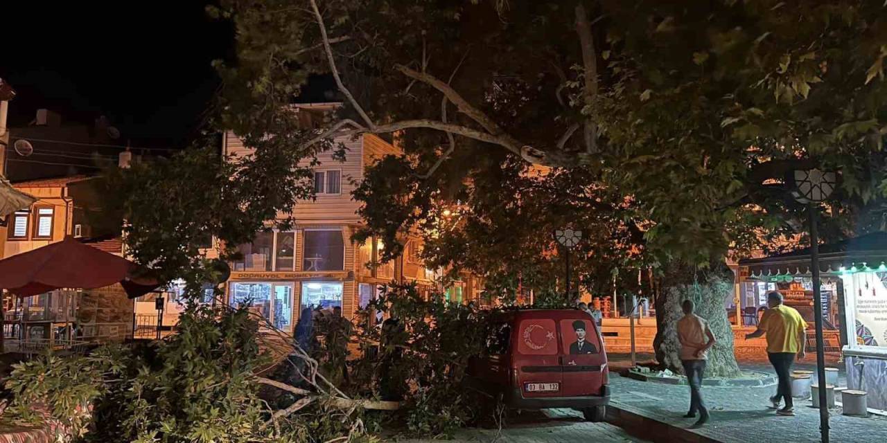 Park Halindeki Aracın Üzerine Ağacın Kırılan Dalı Düştü