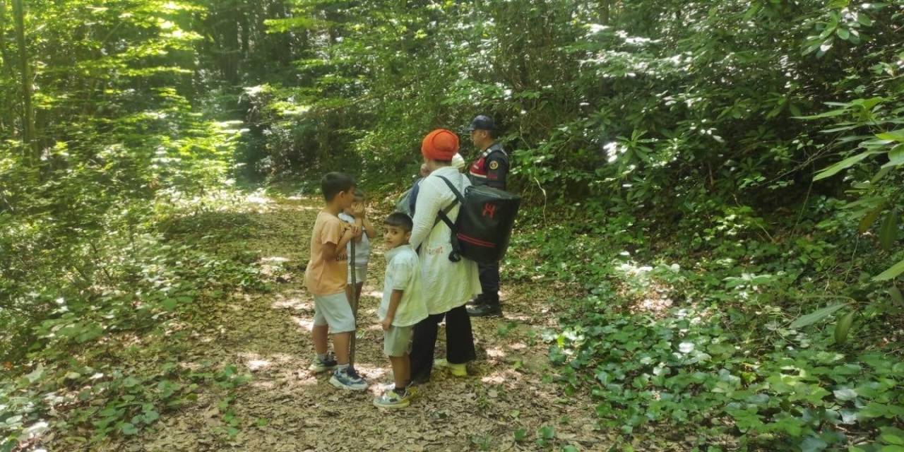 Ormanlık Alanda Yolunu Kaybeden 5 Kişiyi Jandarma Kurtardı
