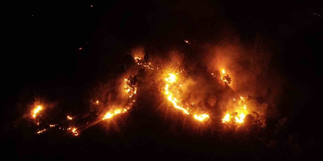 Elazığ’daki Orman Yangını Kontrol Altına Alındı