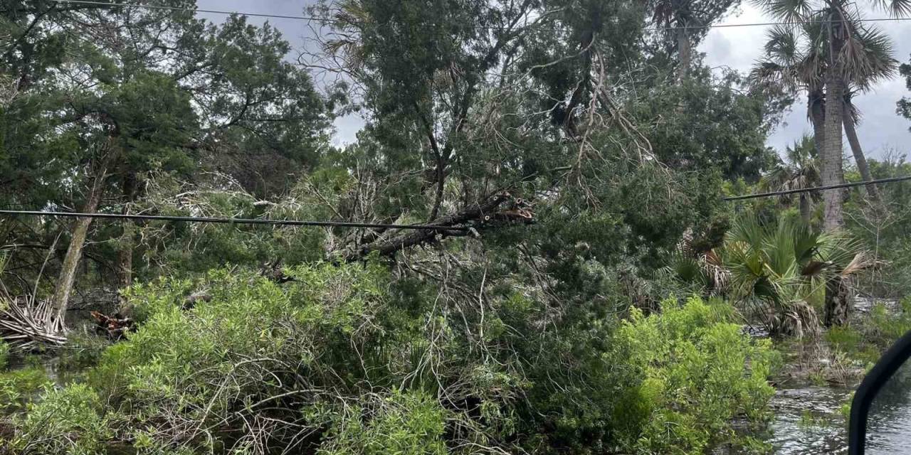 Abd’de Etkili Olan Debby Kasırgası’nın Bilançosu Netleşmeye Başladı: 4 Ölü, 1 Yaralı