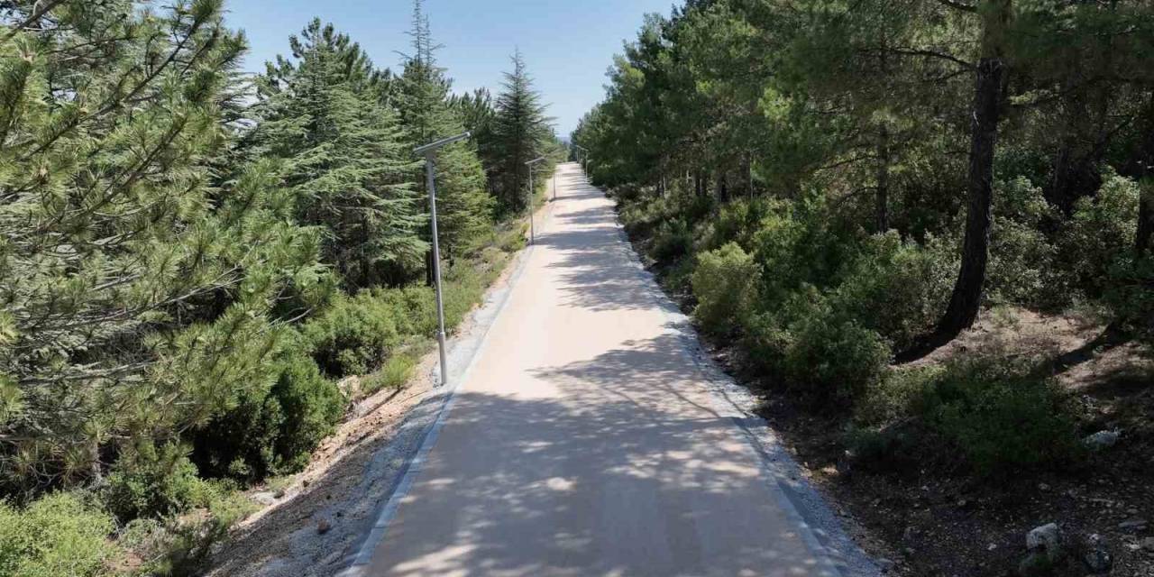 Kent Ormanı Sporseverlerin Yeni Adresi Oluyor