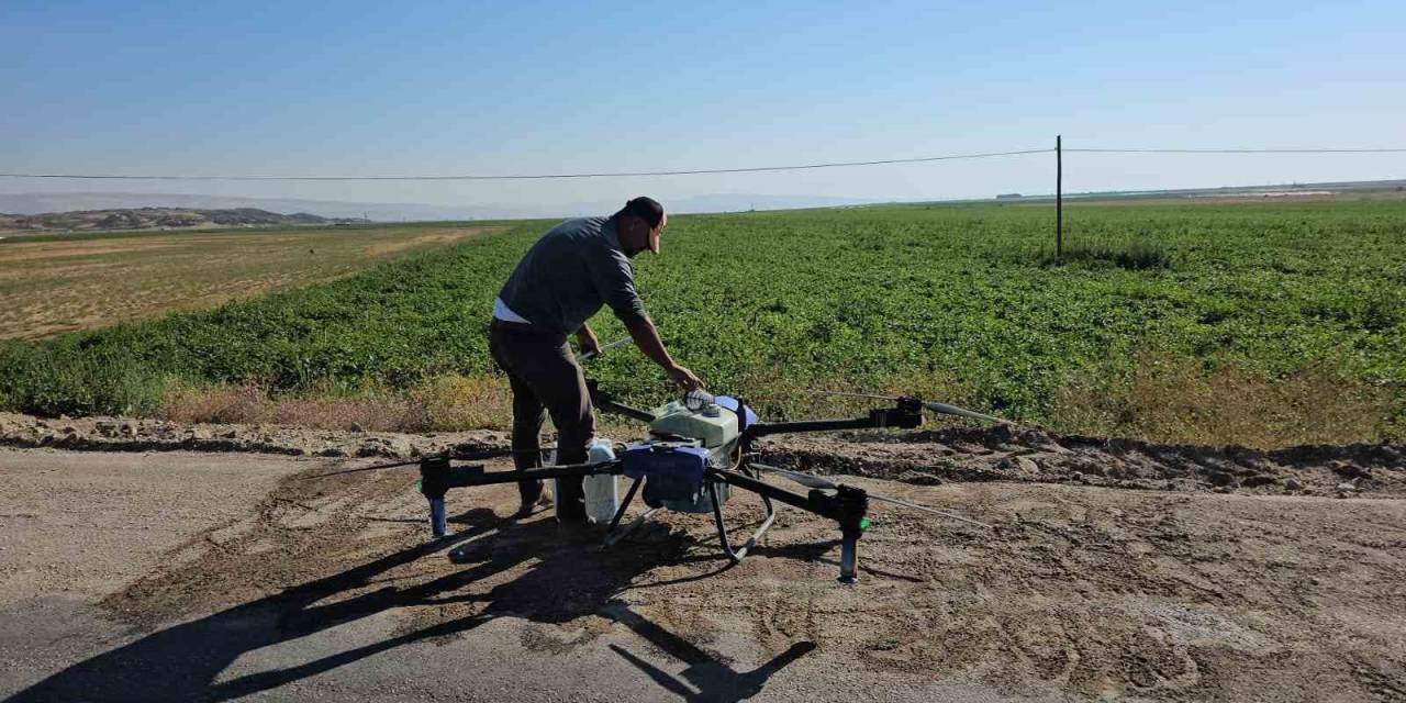 Çiftçiler Kurtlanan Fasulyeleri İçin Dronla İlaçlama Yapıyor