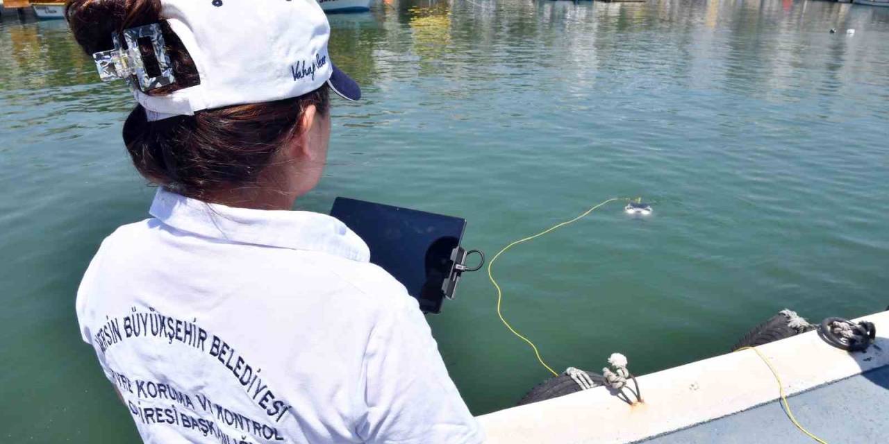 Deniz Dibindeki Kirlilik Su Altı Dronu İle Tespit Edilecek