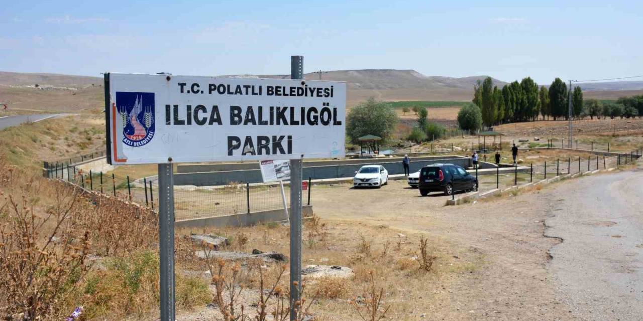 Gazi Balıklar Yok Olma Tehditi Altında