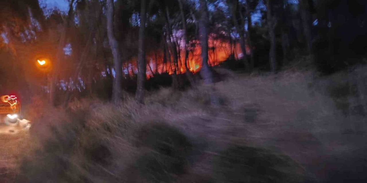 Heybeliada’da Ormanlık Alanda Yangın