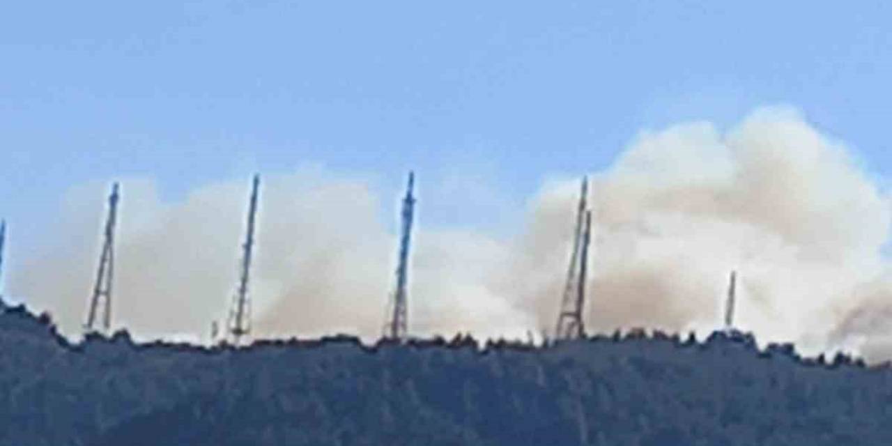 Bursa’da Orman Yangını
