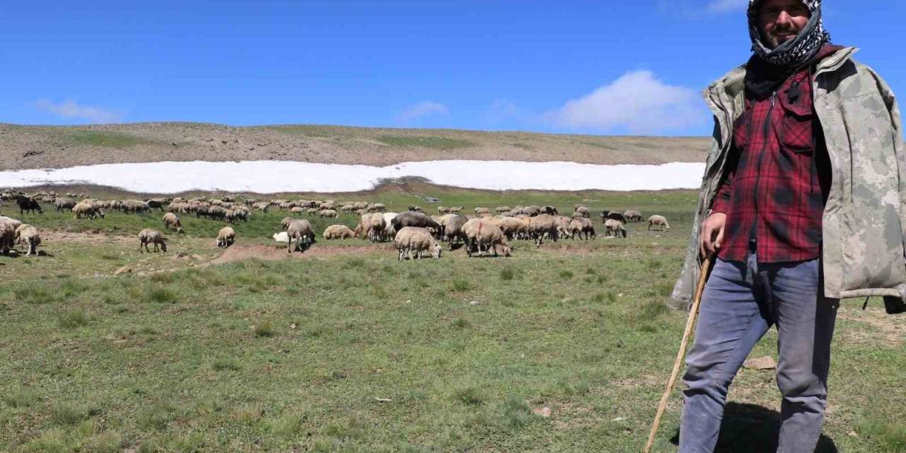 Tarımda Örgütlü Üretim Önemli