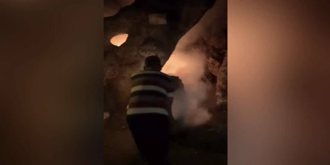 Osmaniye’de Tarihi Çınar Ağacı İçten İçe Yandı