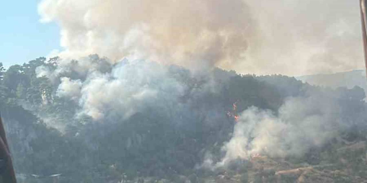 Ayvacık’taki Orman Yangını Kontrol Altına Alındı