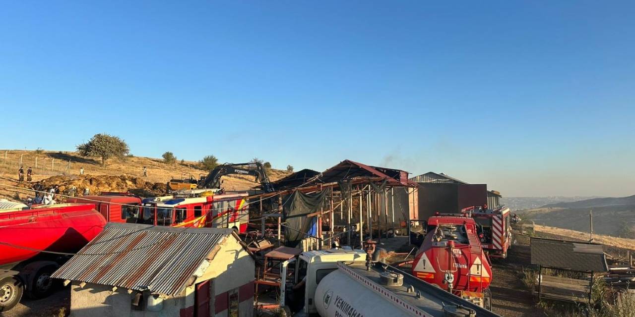 Ankara’da Yanan Ahırda 26 Büyükbaş Hayvan Telef Oldu