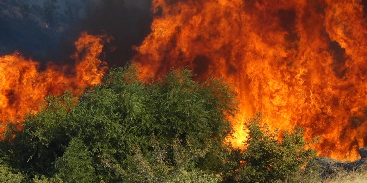 Kırklareli’nde Korkutan Yangın: 600 Dekar Alan Zarar Gördü