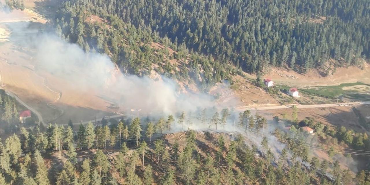 Osmaniye’de Orman Yangını