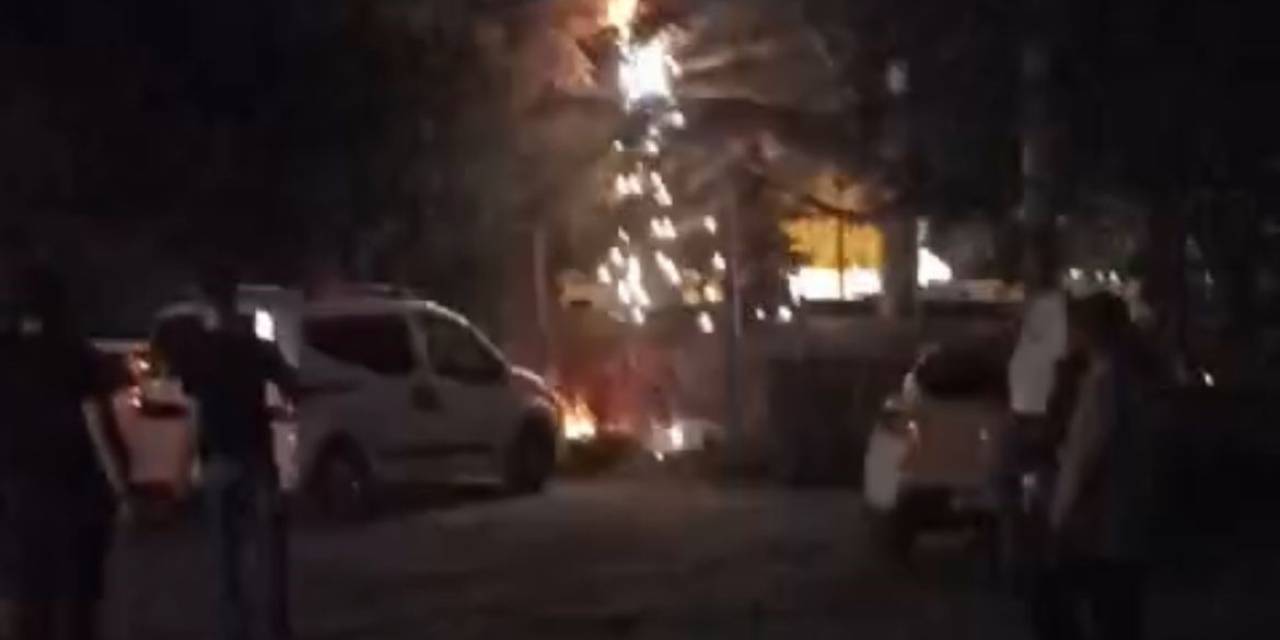 Ağacın Dibindeki Elektrik Kablolarından Çıkan Kıvılcım Korkuttu