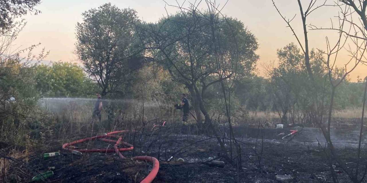Mangaldan Çıkan Yangın 2 Dönümlük Alanı Küle Çevirdi