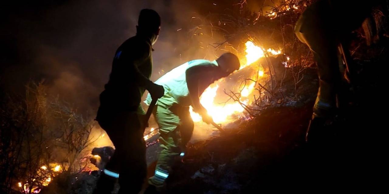 Mersin’deki Orman Yangını Kontrol Altına Alındı