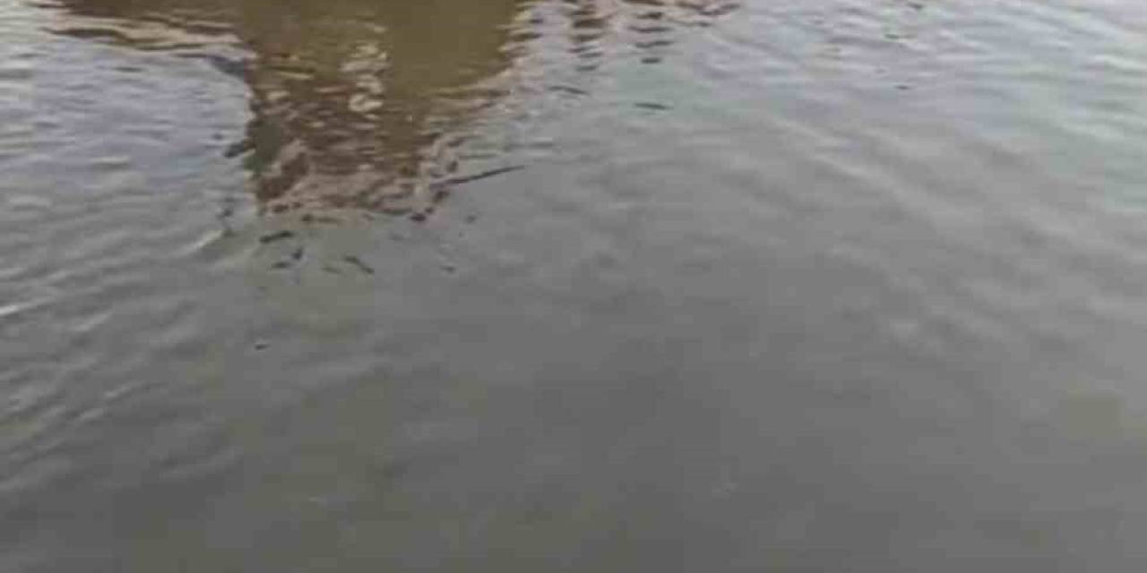 Siverek’te Sulama Göletine Giren Çocuk Boğuldu