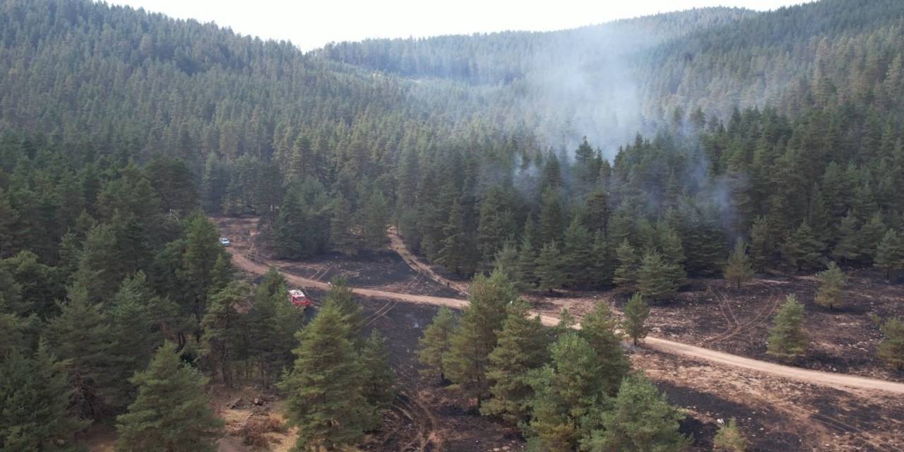 Beypazarı’nda Makilik Yangını Ormana Sıçramadan Söndürüldü