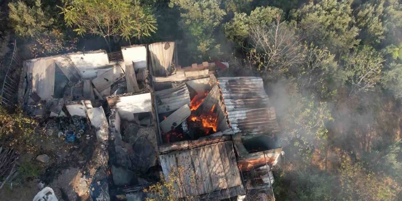 Bursa’da Zeytinlik Alandaki Yangın Söndürüldü