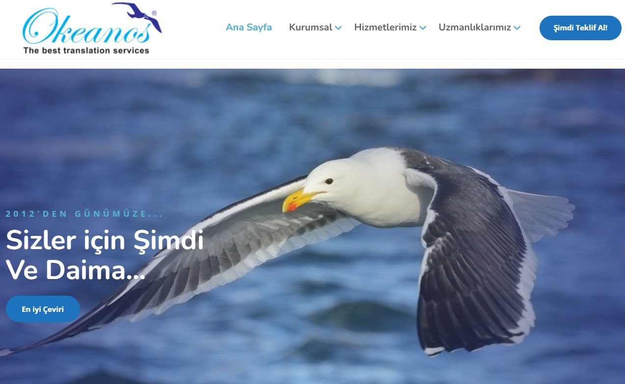 Bulgarca Türkçe Çeviri: Kaliteli ve Güvenilir Çevirinin Önemi