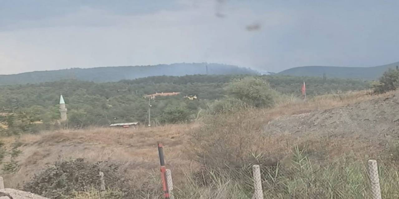 Tavşanlı Tunçbilek’te Yıldırım Düşmesi Sonucu Orman Yangını