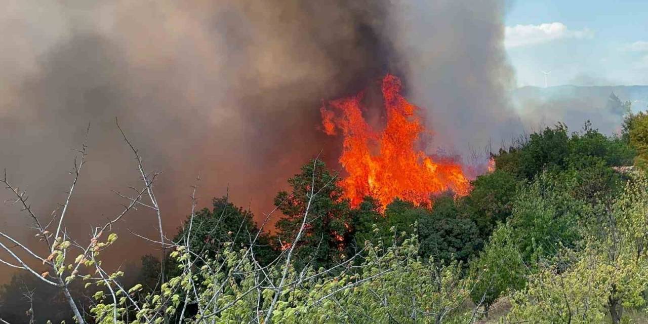 İznik’te Çıkan Orman Yangınına 6 Uçak Ve 3 Helikopter Müdahale Ediyor