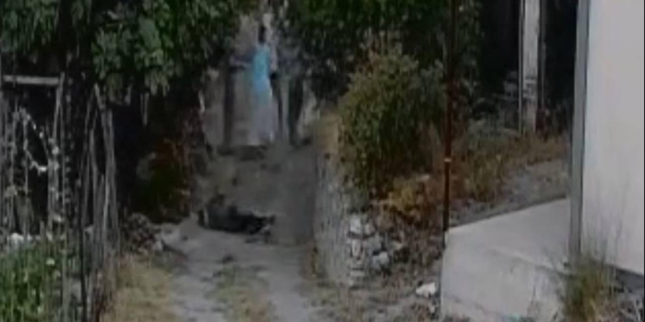 Bahçeye Giren Koyunlar Nedeniyle İşlenen Cinayetin Görüntüleri Dehşete Düşürdü