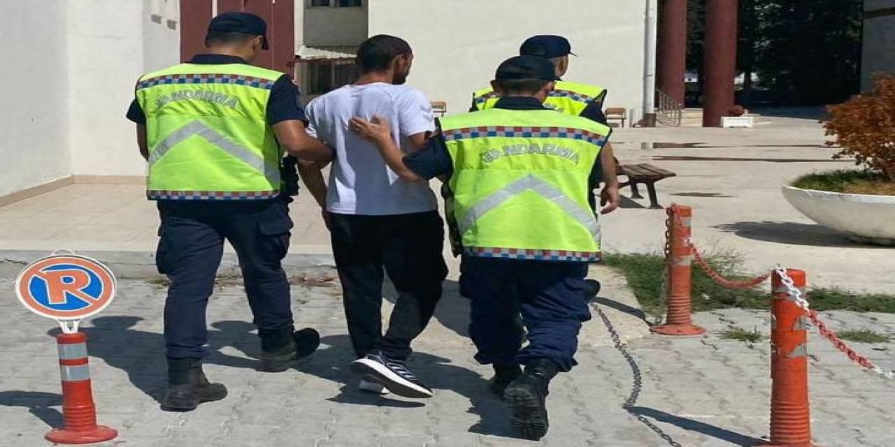 Yalova’da 181 Kök Hint Keneviri Ele Geçirildi: 1 Gözaltı