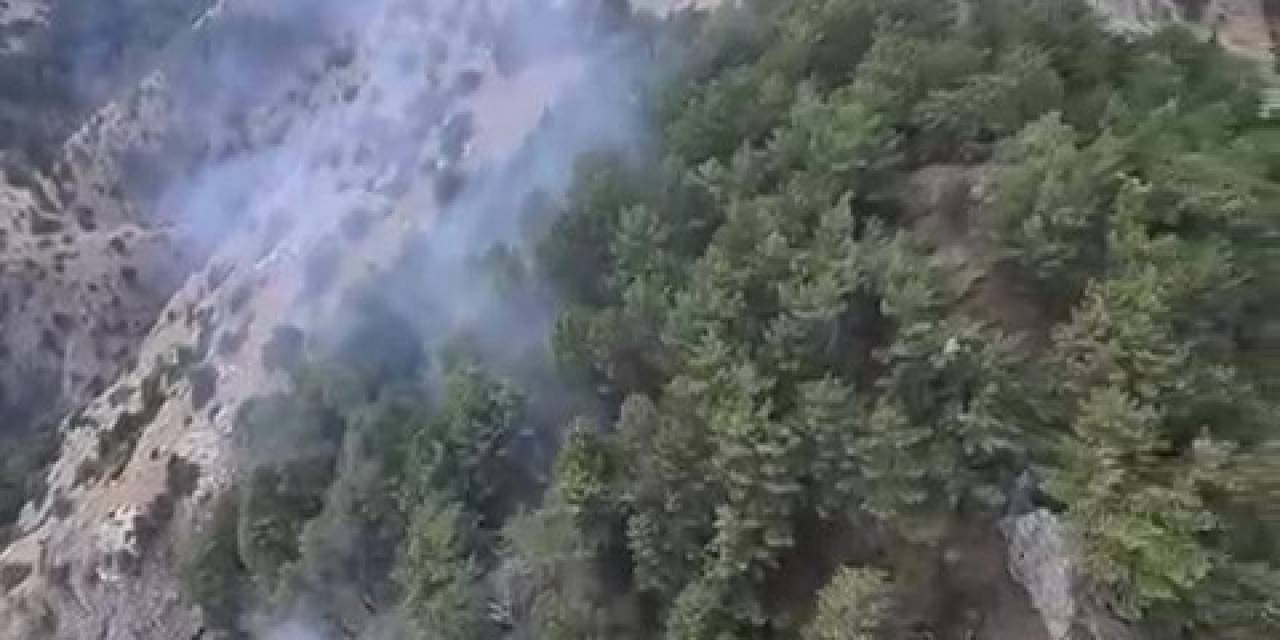 Zirvede Başlayan Yangın Hava Müdahalesiyle Söndürüldü