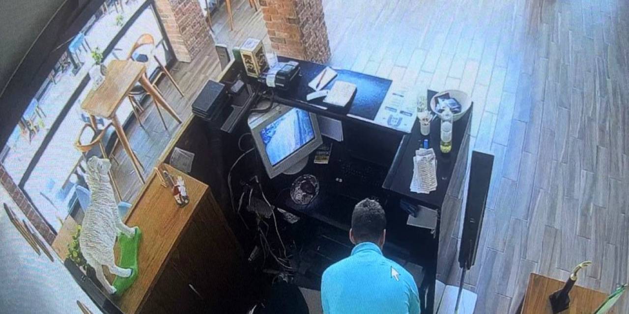 Restorana Dadanan Hırsız "Pes" Dedirtti: "Bu Cesaret Ben De Yok"