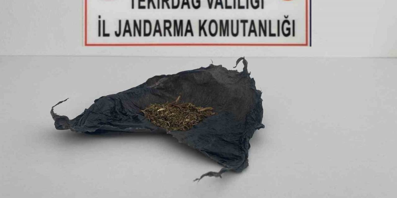 Tekirdağ’da Uyuşturucu Operasyonları: Bonzai Ve Esrar Ele Geçirildi