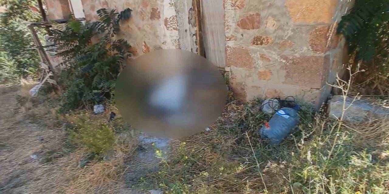 Video Çekmek İçin Gittikleri ‘Cinli Köy’de Ceset Buldular