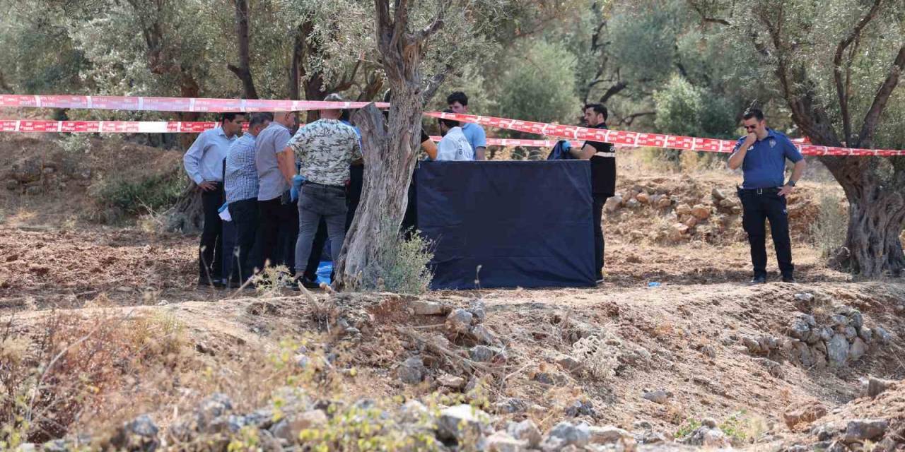 İzmir’de Baba Dehşeti: 3 Evladını Öldürdü, Kendisi Ve 1 Çocuğu Da Yaralı