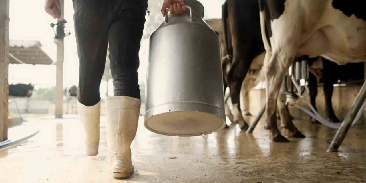 Kuyucak’ta Çiğ Süt Desteklemesi İcmalleri Askıya Çıkarıldı