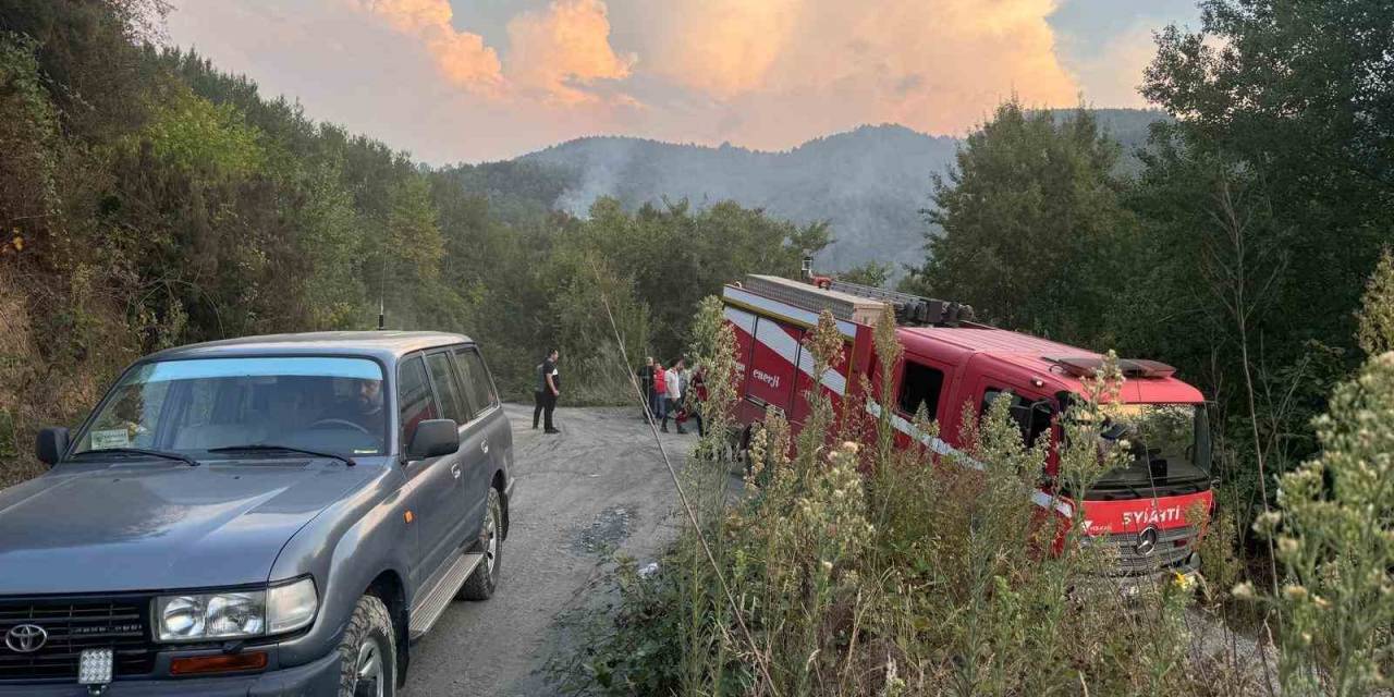 Ormanlık Alanda Çıkan Yangın Paniğe Neden Oldu