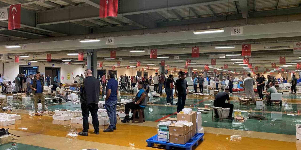 Av Yasağı Sona Erdi, İstanbul’da Sezonun İlk Balıkları Avlandı