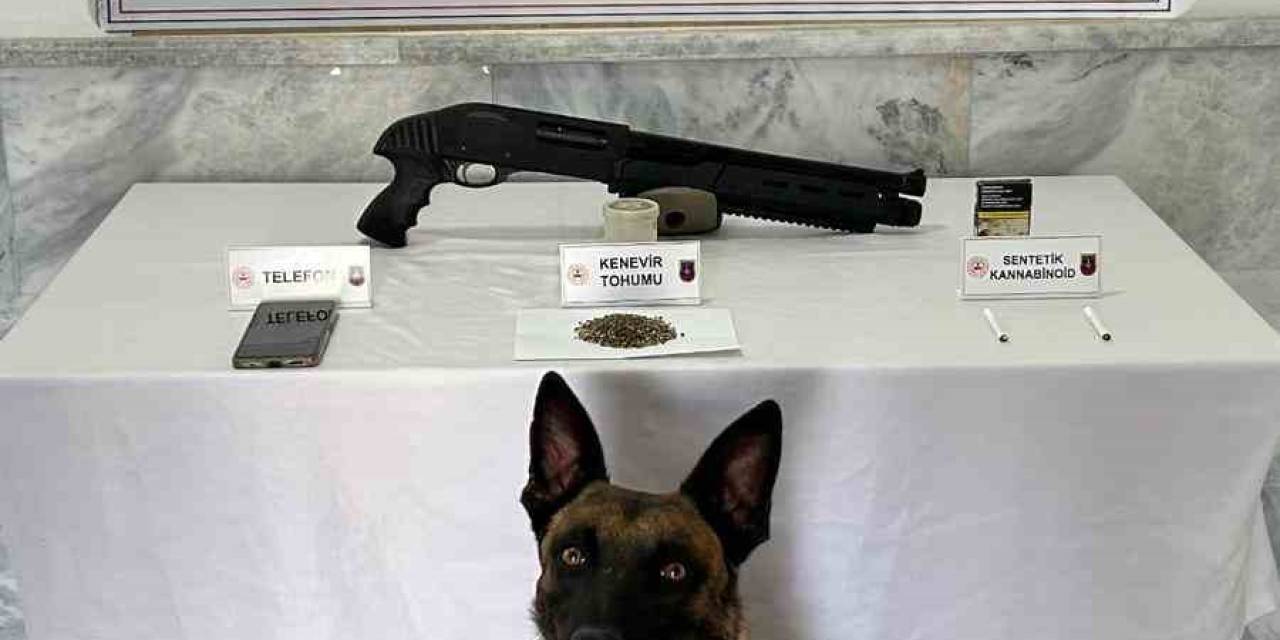 Jandarmadan Uyuşturucu Operasyonu