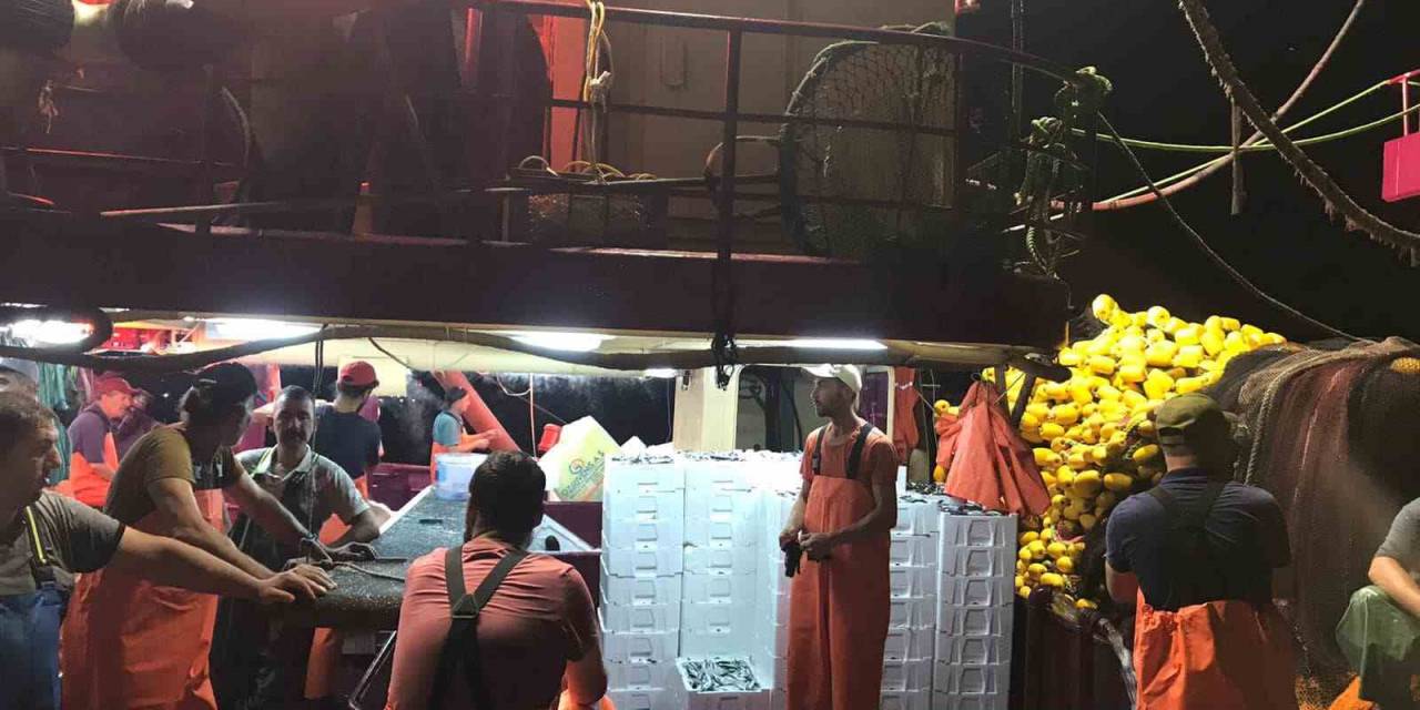 Didim’de ‘Hamsi Kotası’ Denetimi Yapıldı