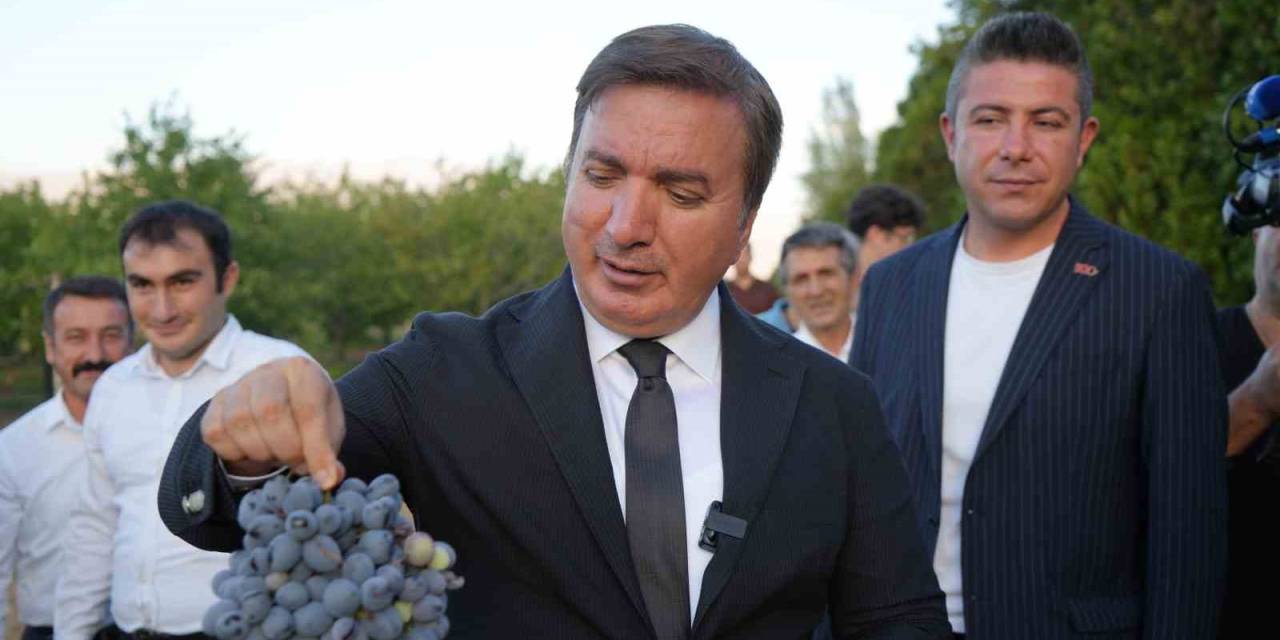 Üzümün Başkenti Erzincan’da 5 Yeni Üzüm Çeşidi Tescil Alıyor