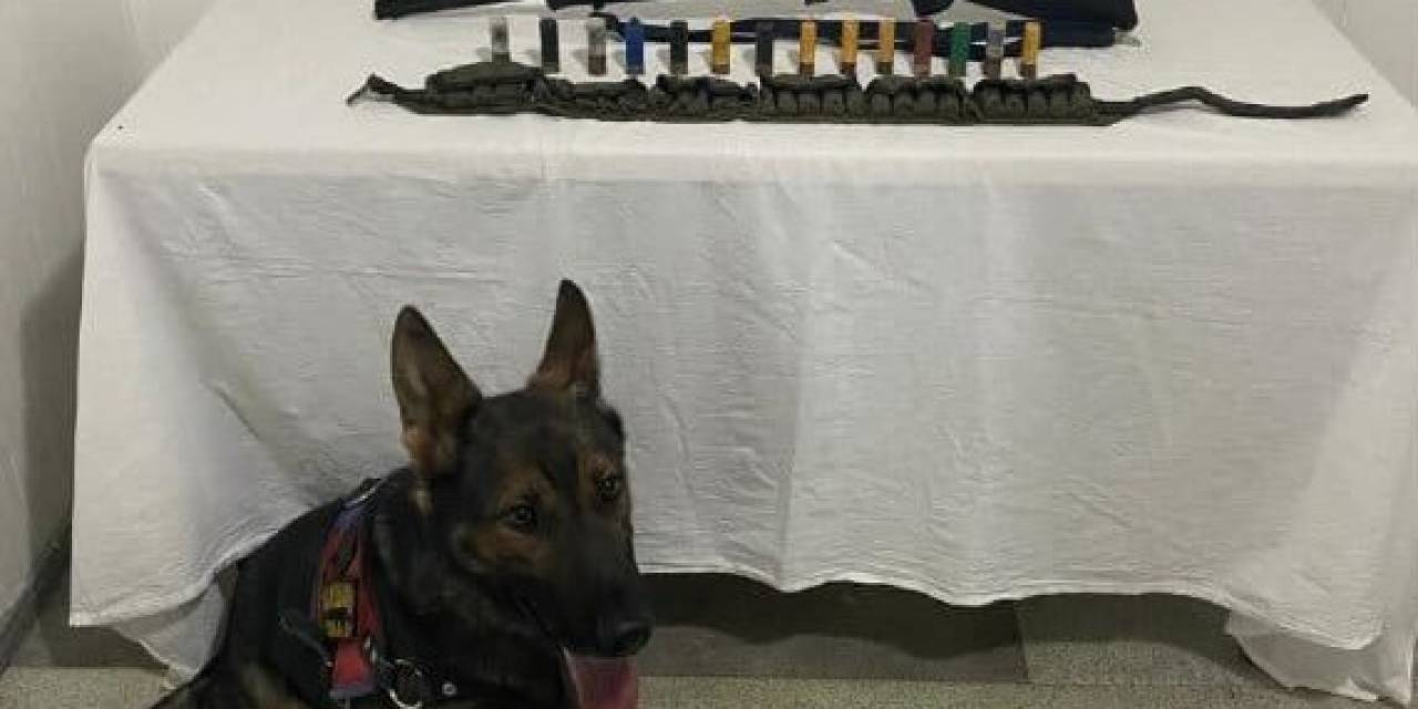 Bingöl’de 2 Adet Ruhsatsız Av Tüfeği Ele Geçirildi