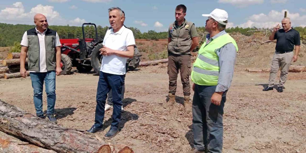 "müdür Erdal Dingil: "Orman Yangınlarına Karşı Daha Duyarlı Olmalıyız"