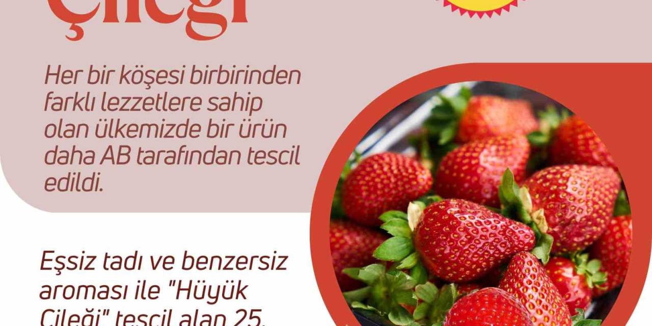 Hüyük Çileği Ab’den Tescil Aldı
