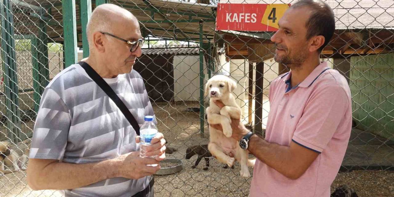 Gaziantep’te Sokak Hayvanlarını Gönüllü Hayvan Dostları Sahipleniyor