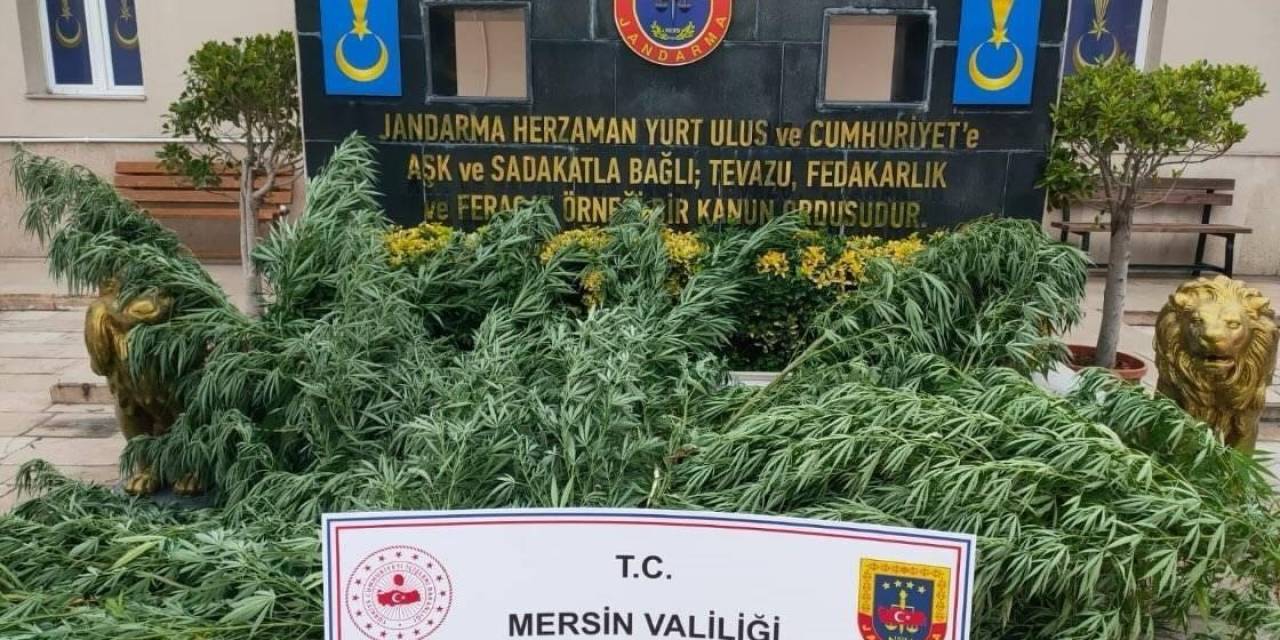 Mersin’de Uyuşturucu Madde Operasyonu: 3 Gözaltı