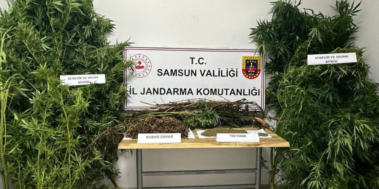Jandarmadan Uyuşturucu Operasyonu: 2 Gözaltı